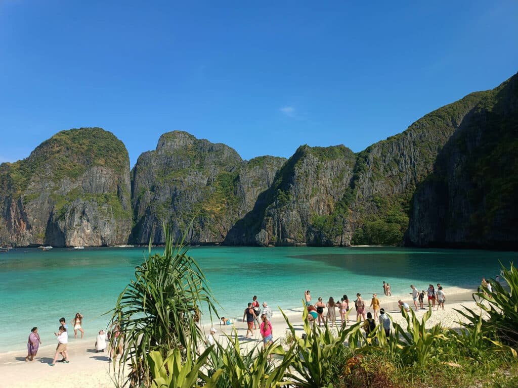 maya bay