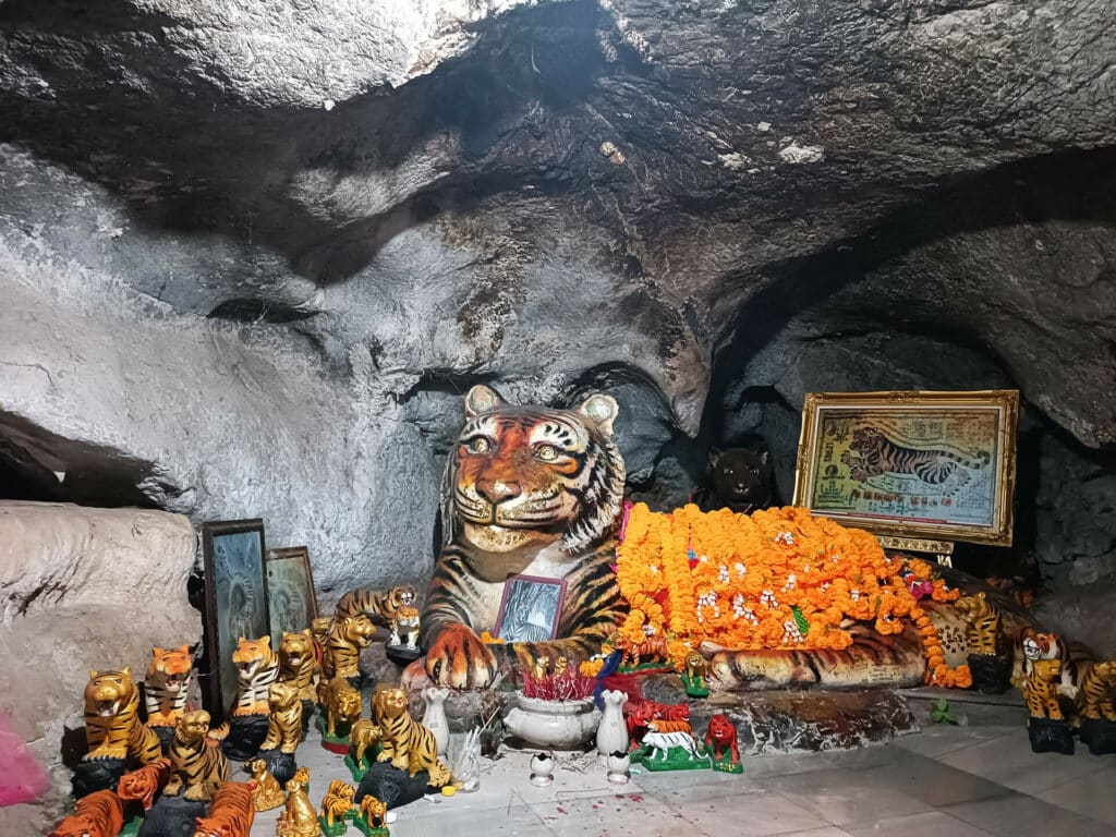 tiger tempel krabi