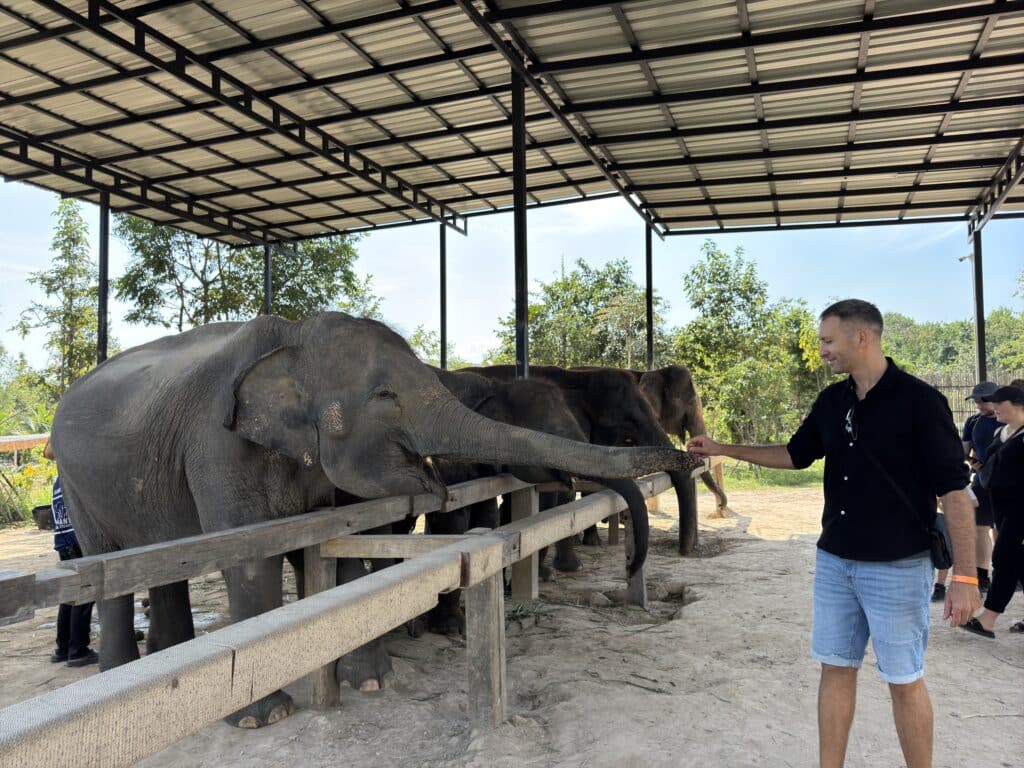 Elephant Jungle Sanctuary chiang mai