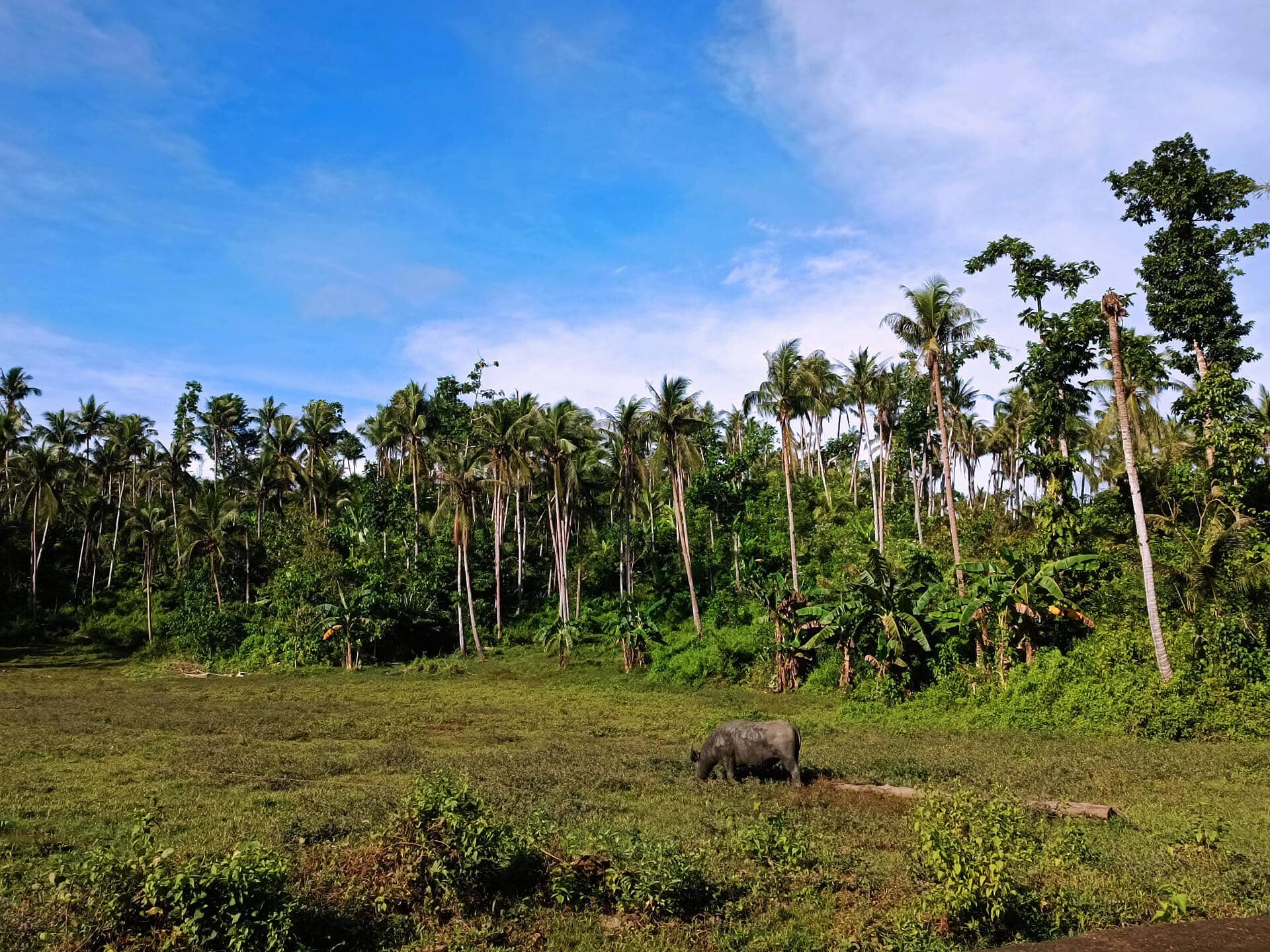 Siargao Island: Surferparadies in den Philippinen 