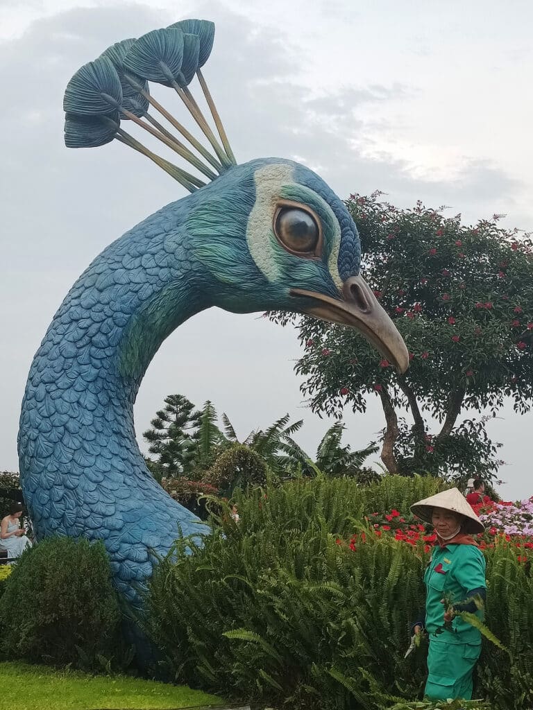 pfau gärtnerin ba na hills