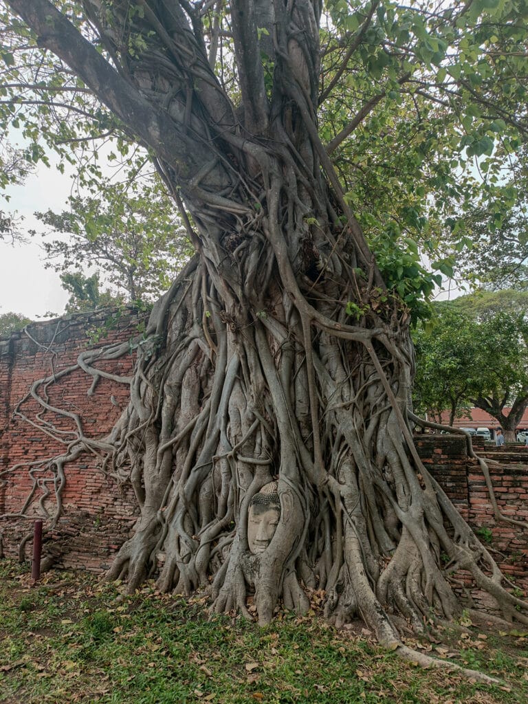 wat mahathat