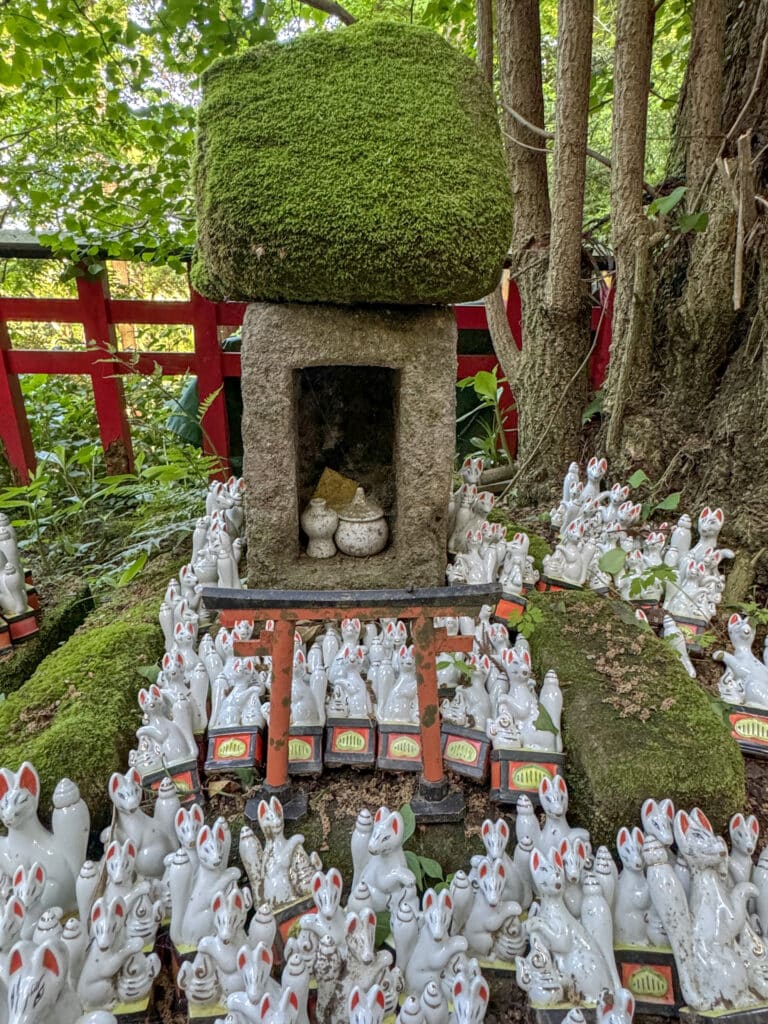 Sasuke Inari Shrine füchse