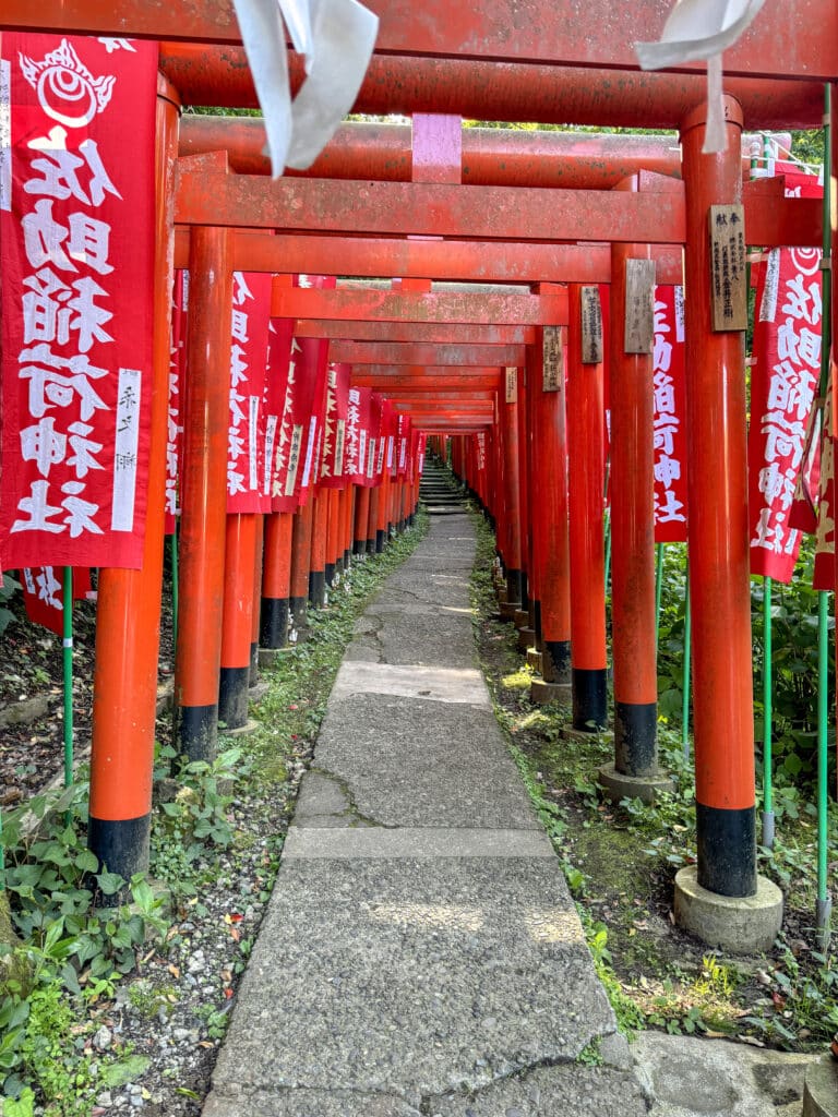 Sasuke Inari Shrine torii