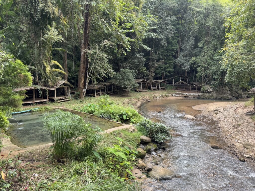 Freshwater Spring Pool