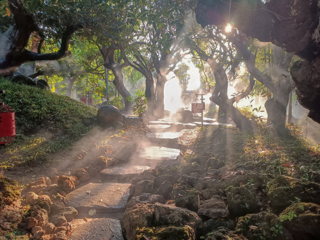 Dantewada park mystischer nebelwald