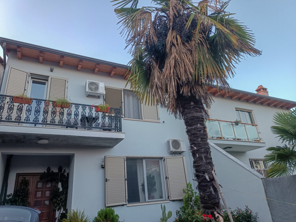 guesthouse zadeja shkodra