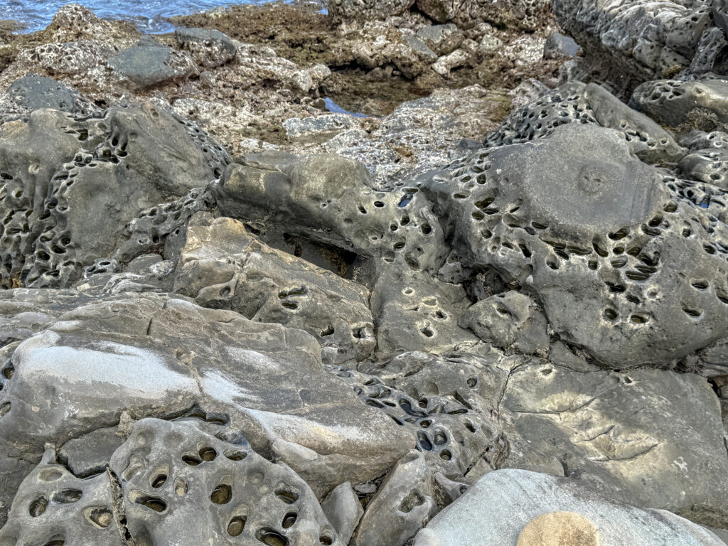 Fugang Geopark Xiaoyeliu taitung 2