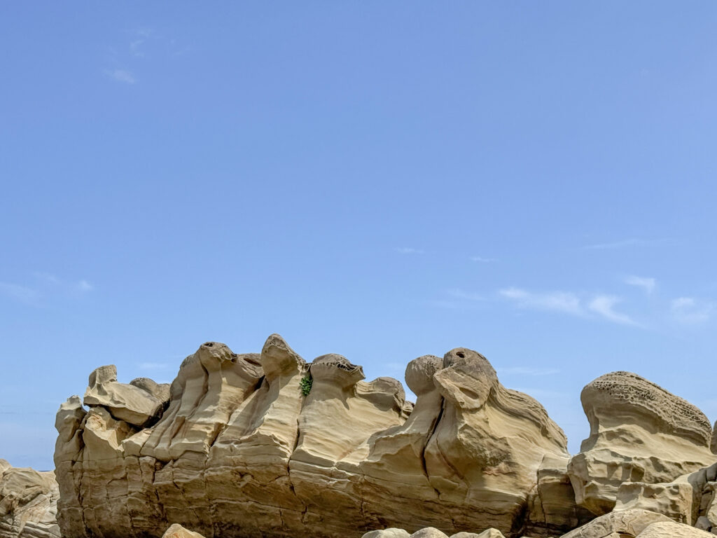 Fugang Geopark Xiaoyeliu taitung 3