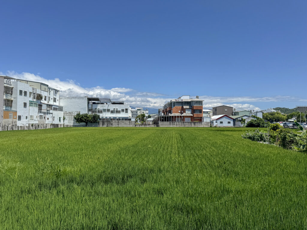 reisfelder taitung